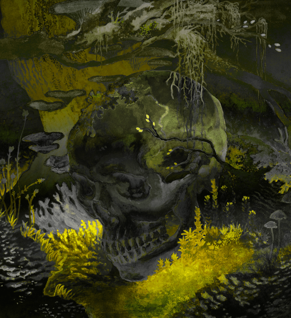 a skull lying in moss, surrounded by mushrooms and other fungi, mosses and molds. by kayla cerrone