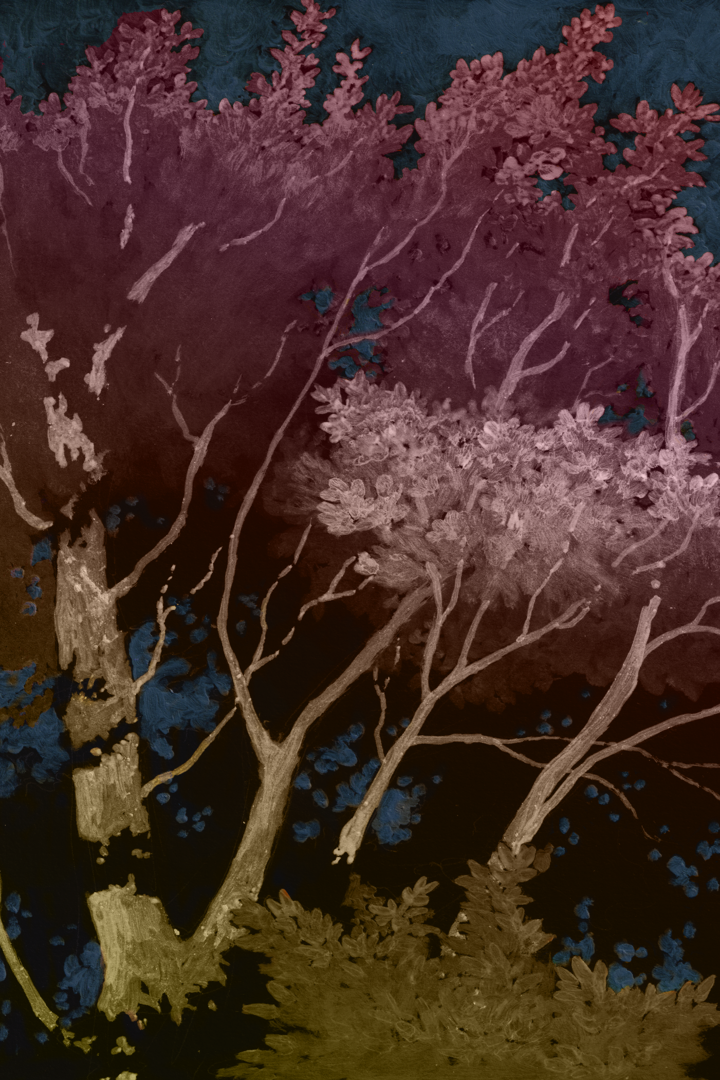 illustration of a beautiful tree with late summer leaves. by kayla cerrone